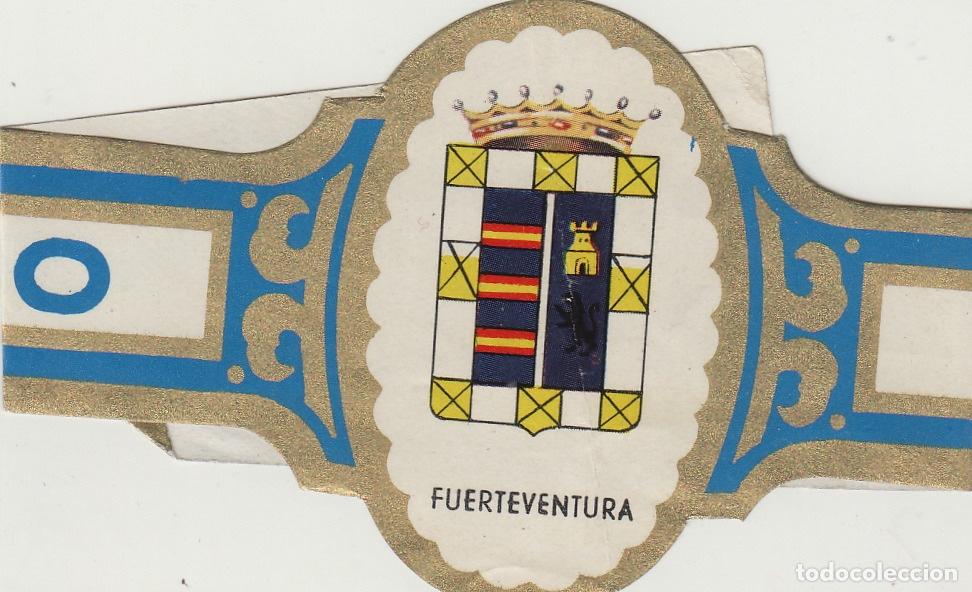 Collection cigar bands: VITOLA CENTEN CUBANO ESCUDOS - FUERTEVENTURA - 22 cm largo , doblada por alas . fotos ambas caras