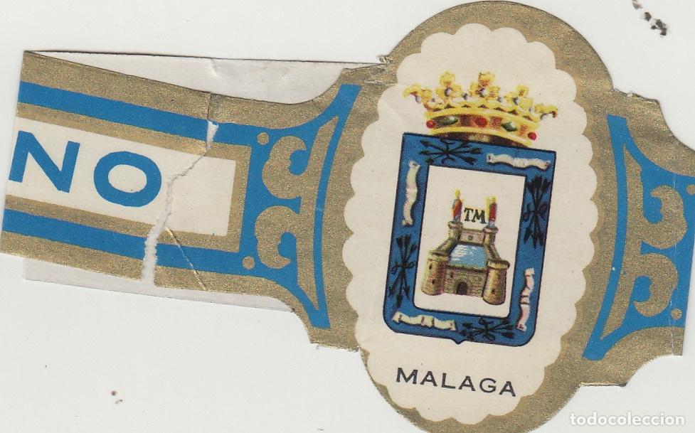 Collection cigar bands: VITOLA CENTEN CUBANO ESCUDOS - MALAGA - 22 cm largo , doblada por alas . fotos ambas caras