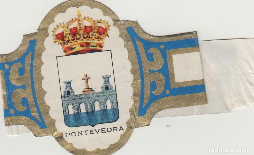 Collection cigar bands: VITOLA CENTEN CUBANO ESCUDOS - PONTEVEDRA - 22 cm largo , doblada por alas . fotos ambas caras