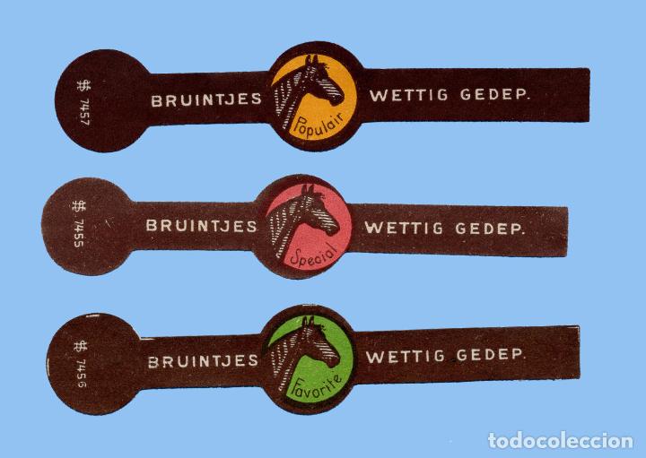 Collection cigar bands: 3 Vitolas antiguas - Marca WETTIG GEDEP. BRUINTGES (Holanda) - Tematica Fauna - Caballos