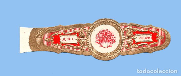 Collection cigar bands: VITOLA CUBANA ANTIGUA - MARCA JOSE LUIS PIEDRA - TEM&Aacute;TICA FAUNA (CONCHA)