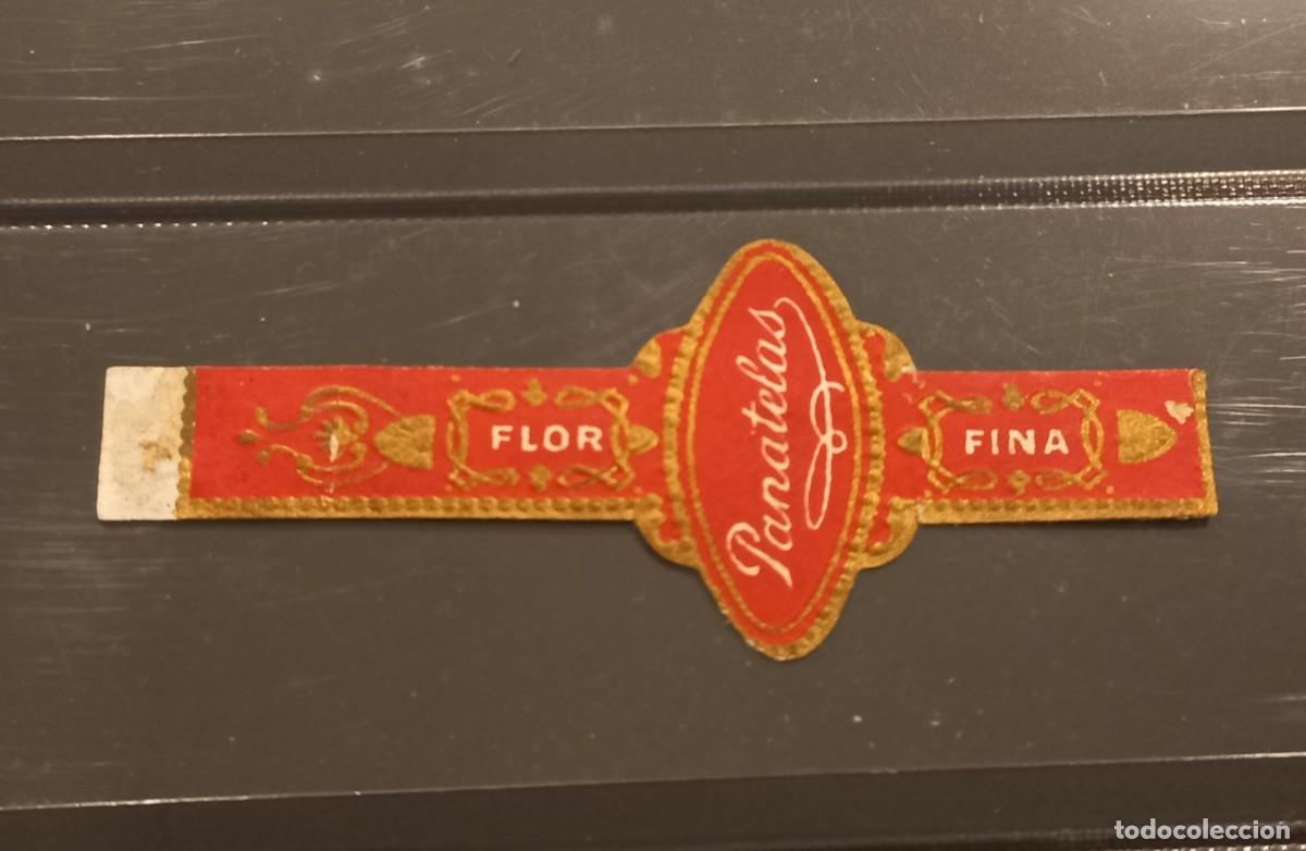 Vitolas de colecci&oacute;n: Vitola PANATELAS - Foto 1