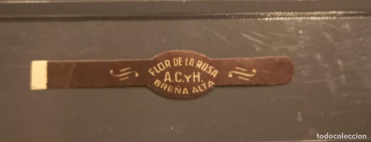 Vitolas de colecci&oacute;n: Vitola FLOR DE LA ROSA/AC Y H - Foto 1