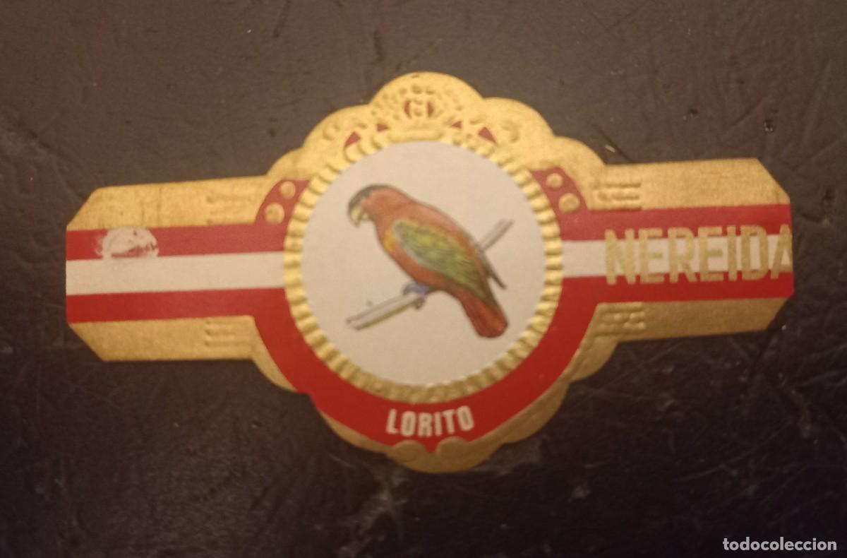 Vitolas de colecci&oacute;n: Vitola NEREIDA LORITO - Foto 1