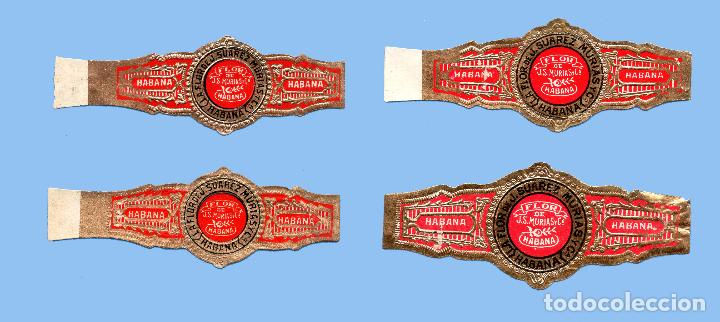 Bagues de cigare de collection: 4 VITOLAS CUBANAS ANTIGUAS - MARCA LA FLOR DE J. SUAREZ MURIAS