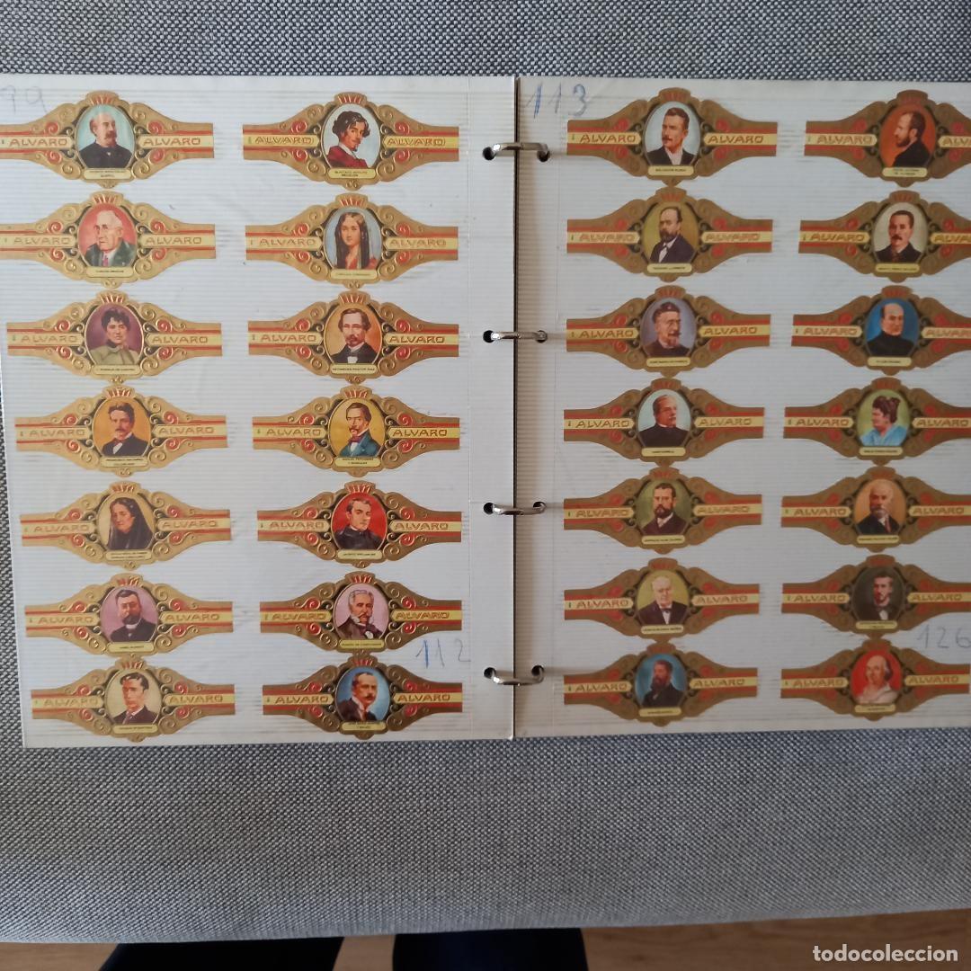 Vitolas de colecci&oacute;n: Vitolas de Puros colecci&oacute;n - Foto 1