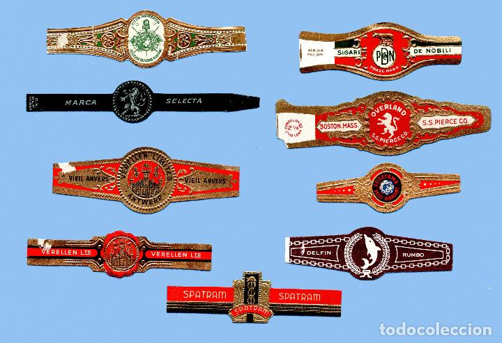 Sammlung von Banderolen: 9 VITOLAS ANTIGUAS - DISTINTAS MARCAS - TEM&Aacute;TICA VARIA