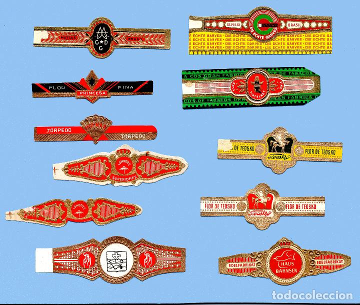 Sammlung von Banderolen: 11 VITOLAS ANTIGUAS - DISTINTAS MARCAS - TEM&Aacute;TICA VARIA