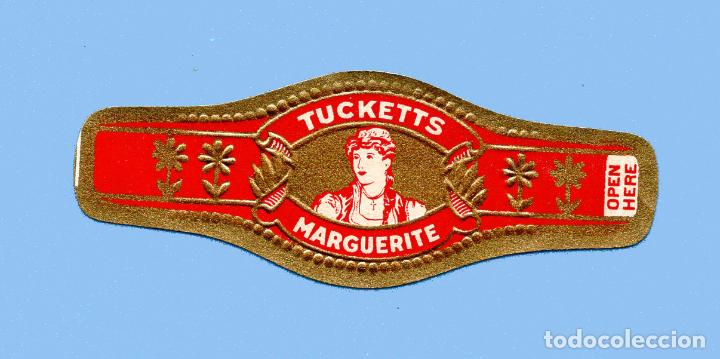 Sammlung von Banderolen: VITOLA ANTIGUA - MARCA TUCKETTS. MARGUERITE (USA) - TEM&Aacute;TICA MUJERES