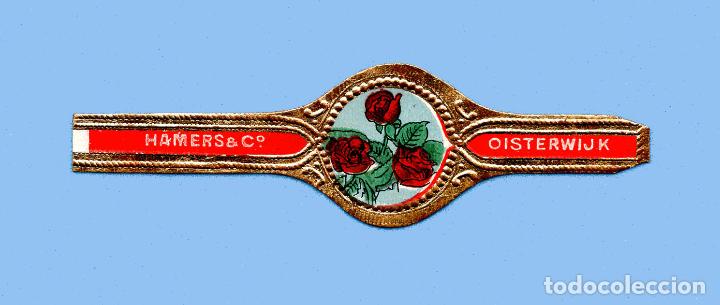 Sammlung von Banderolen: VITOLA ANTIGUA - MARCA OISTERWIJK. HAMERS & CO. (HOLANDA) - TEM&Aacute;TICA FLORES