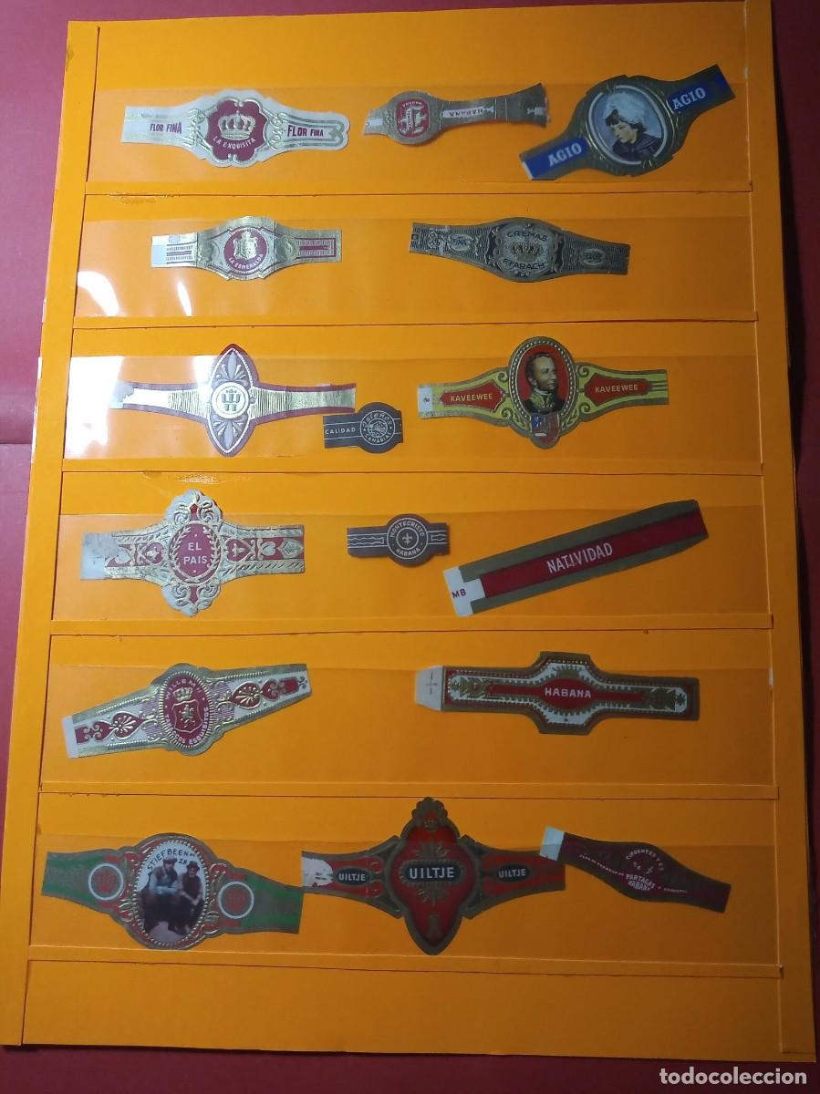 Vitolas de colecci&oacute;n: vitolas