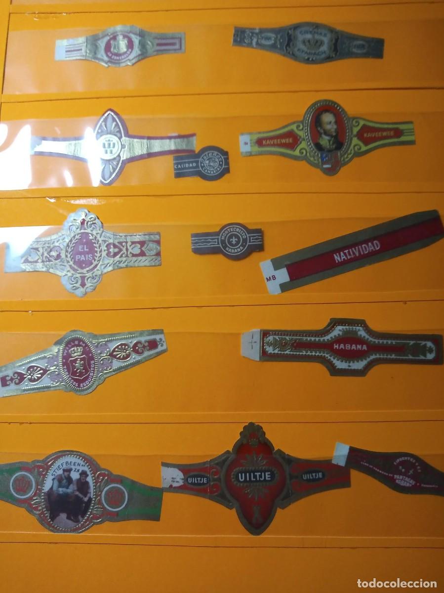Vitolas de colecci&oacute;n: vitolas - Foto 3
