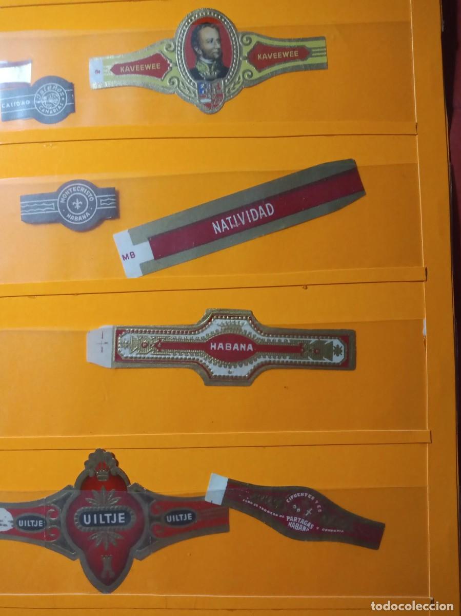 Vitolas de colecci&oacute;n: vitolas - Foto 4