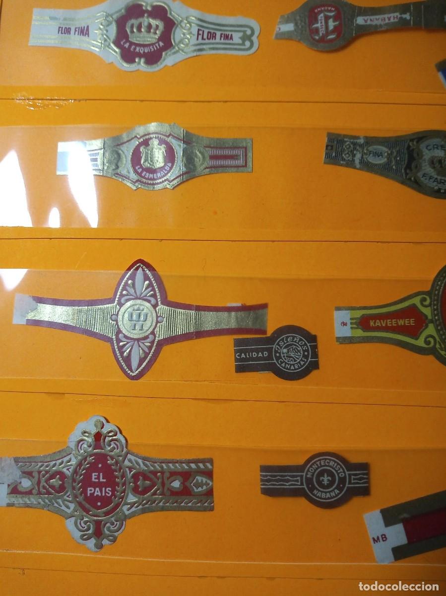 Vitolas de colecci&oacute;n: vitolas - Foto 5