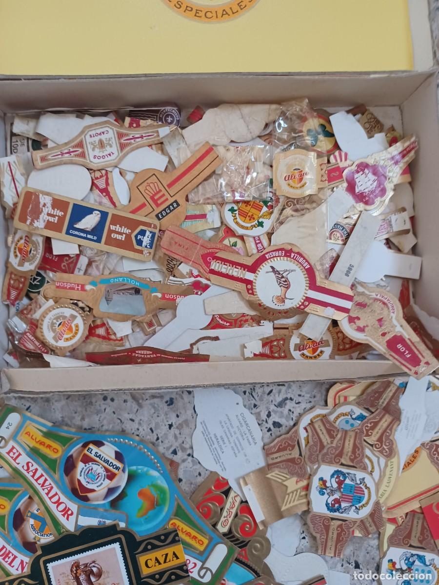 Vitolas de colecci&oacute;n: Vitolas antiguas - Foto 4