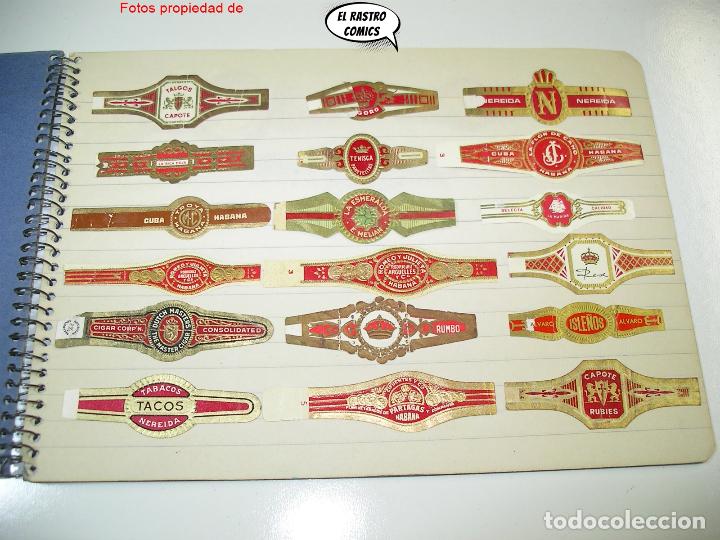 An&eacute;is de charuto de cole&ccedil;&atilde;o: Vitolas de puros, lote de 21 , cigarros, X4