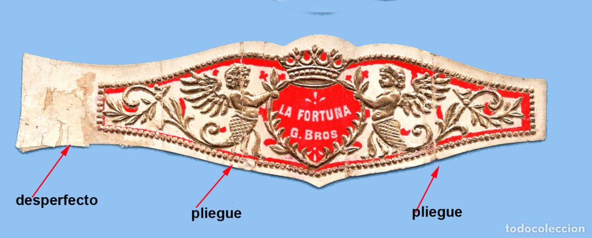 An&eacute;is de charuto de cole&ccedil;&atilde;o: VITOLA ANTIGUA - MARCA LA FORTUNA. G. BROSS - TEM&Aacute;TICA HER&Aacute;LDICA - ESCUDO