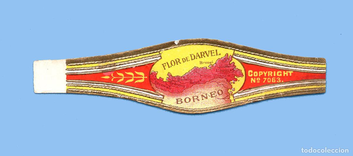 An&eacute;is de charuto de cole&ccedil;&atilde;o: VITOLA ANTIGUA - MARCA FLOR DE DARVEL. BORNEO