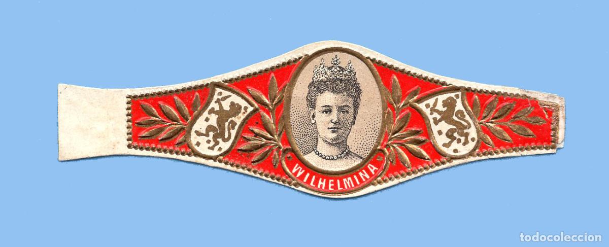 An&eacute;is de charuto de cole&ccedil;&atilde;o: VITOLA ANTIGUA - SIN MARCA - LA REINA GUILLERMINA DE HOLANDA