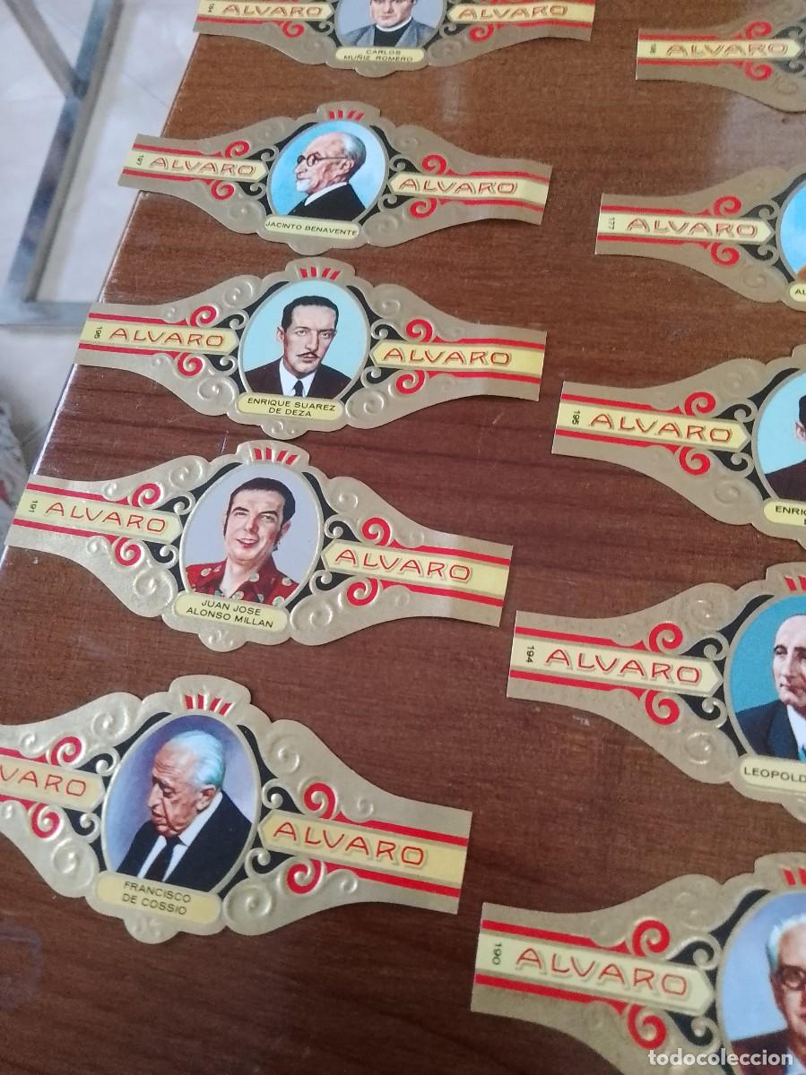 Vitolas de colecci&oacute;n: Lote de 24 vitolas variadas - Foto 3