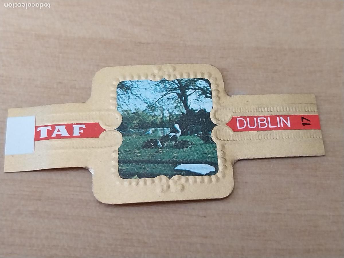 An&eacute;is de charuto de cole&ccedil;&atilde;o: DUBLIN PARK ST STEPHEN&acute;S GREEN PROMO TABACO VITOLA ANTIGUA ORIGINAL 5CM