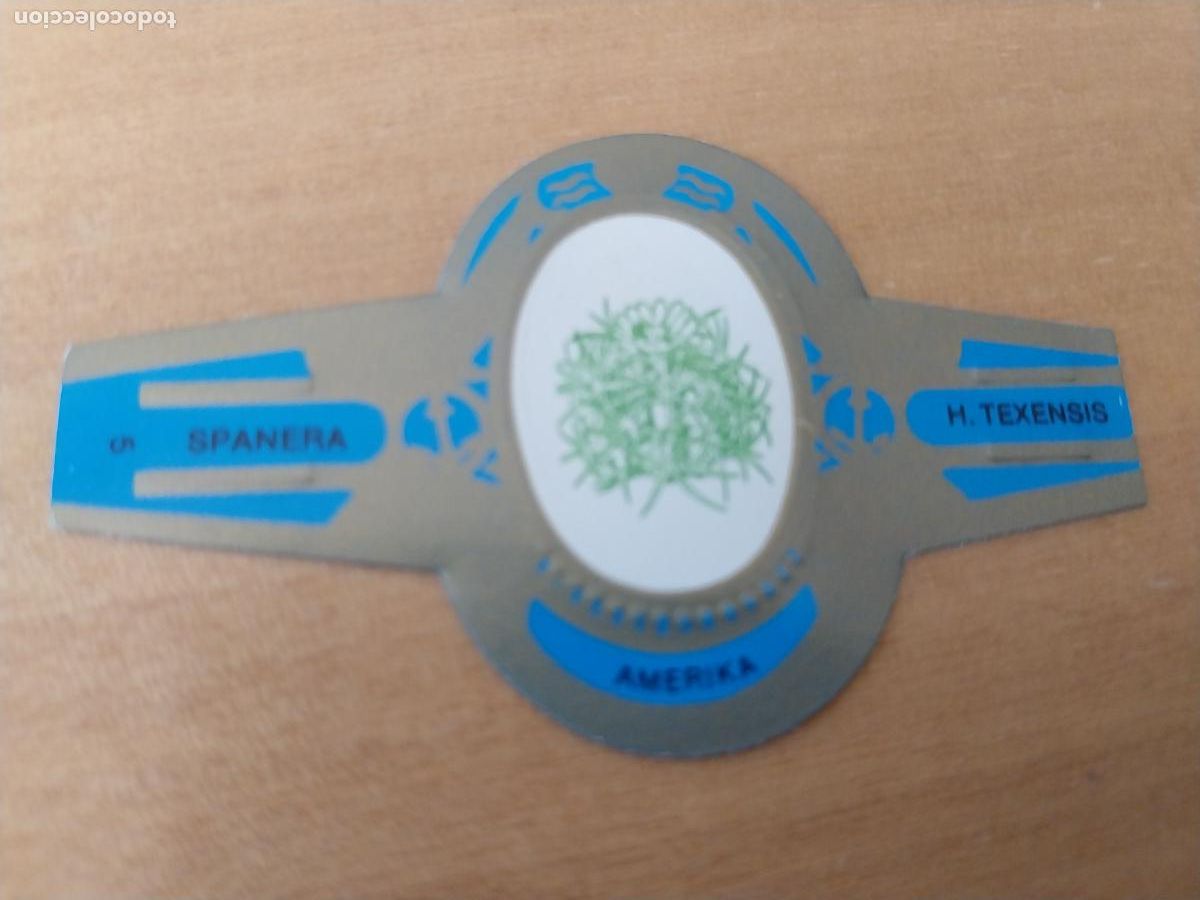 Collection cigar bands: H TEXENSIS SPANERA PROMO TABACO VITOLA ORIGINAL VINTAGE 6CM LARGO