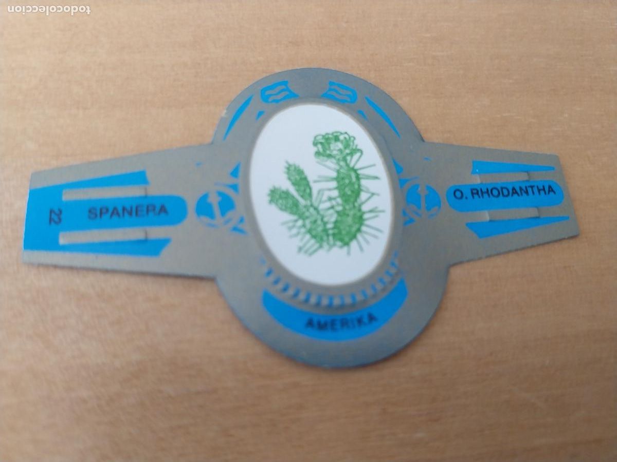 Collection cigar bands: RHODANTHA SPANERA PROMO TABACO VITOLA ORIGINAL VINTAGE 6CM LARGO