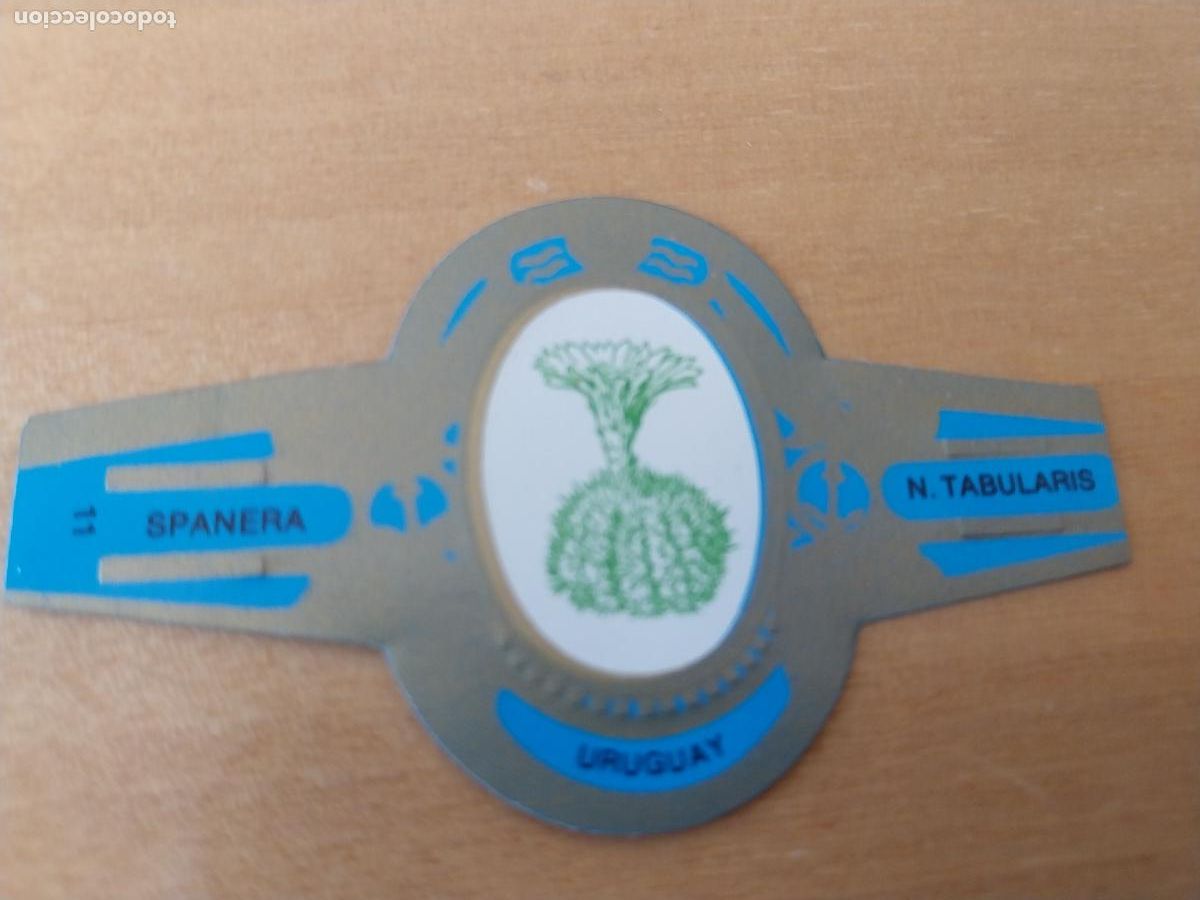 Collection cigar bands: N TABULARIS SPANERA PROMO TABACO VITOLA ORIGINAL VINTAGE 6CM LARGO