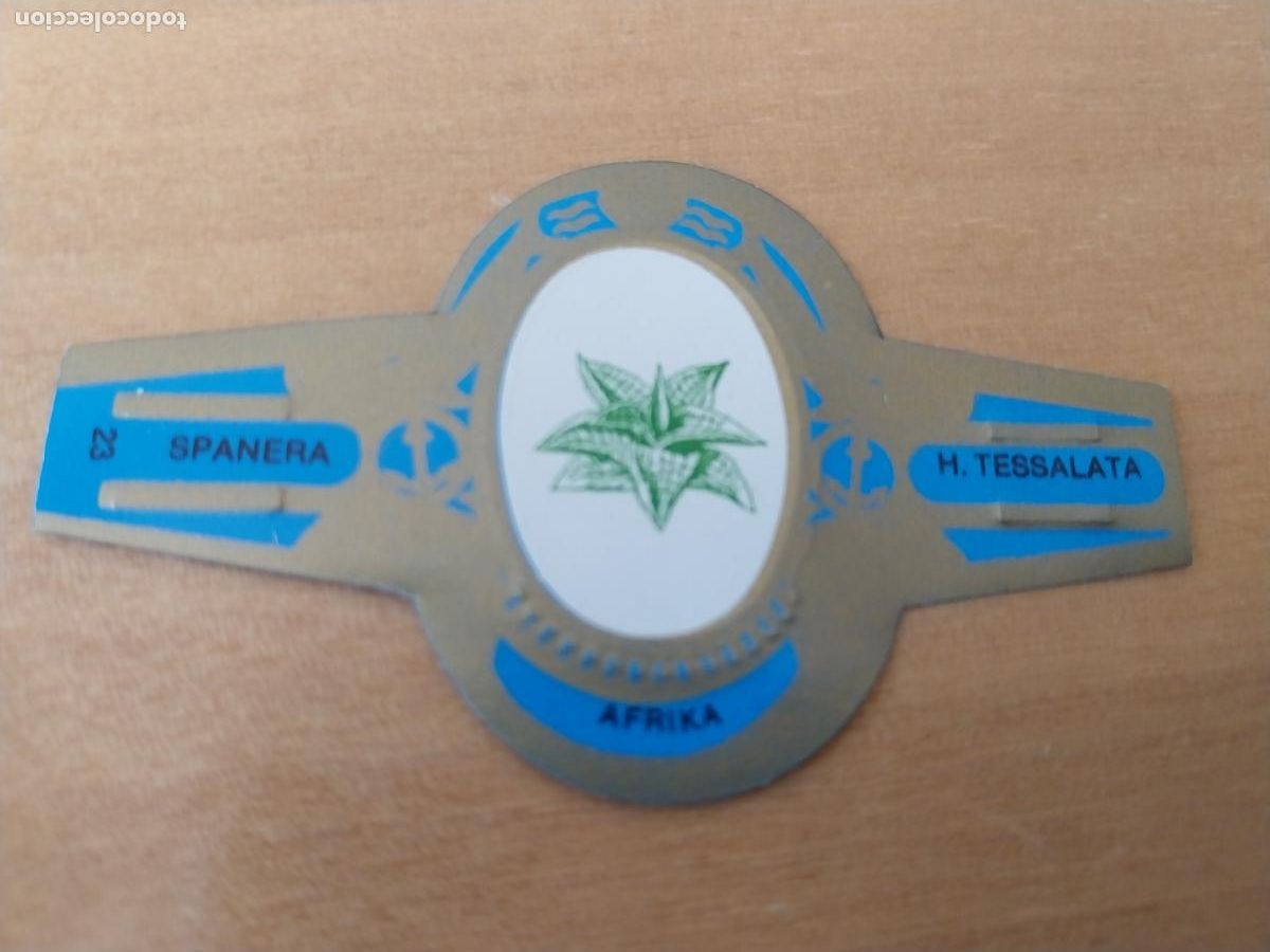 Collection cigar bands: H TESALATA SPANERA PROMO TABACO VITOLA ORIGINAL VINTAGE 6CM LARGO