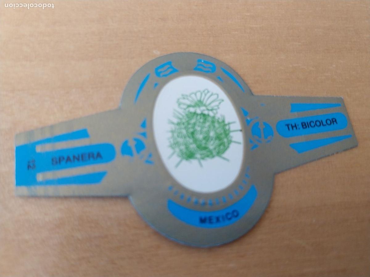 Collection cigar bands: TH BICOLOR SPANERA PROMO TABACO VITOLA ORIGINAL VINTAGE 6CM LARGO