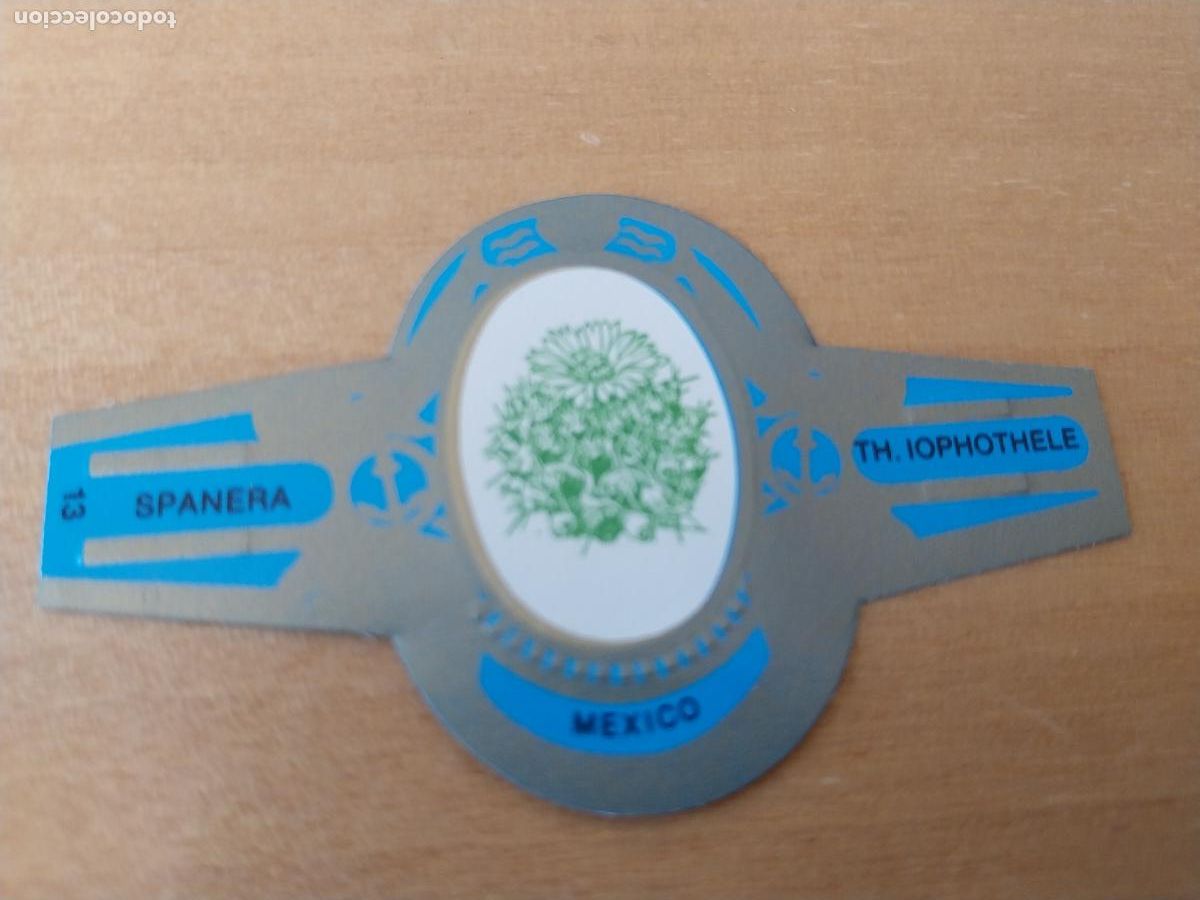 Collection cigar bands: TH IOPHOTHELE SPANERA PROMO TABACO VITOLA ORIGINAL VINTAGE 6CM LARGO