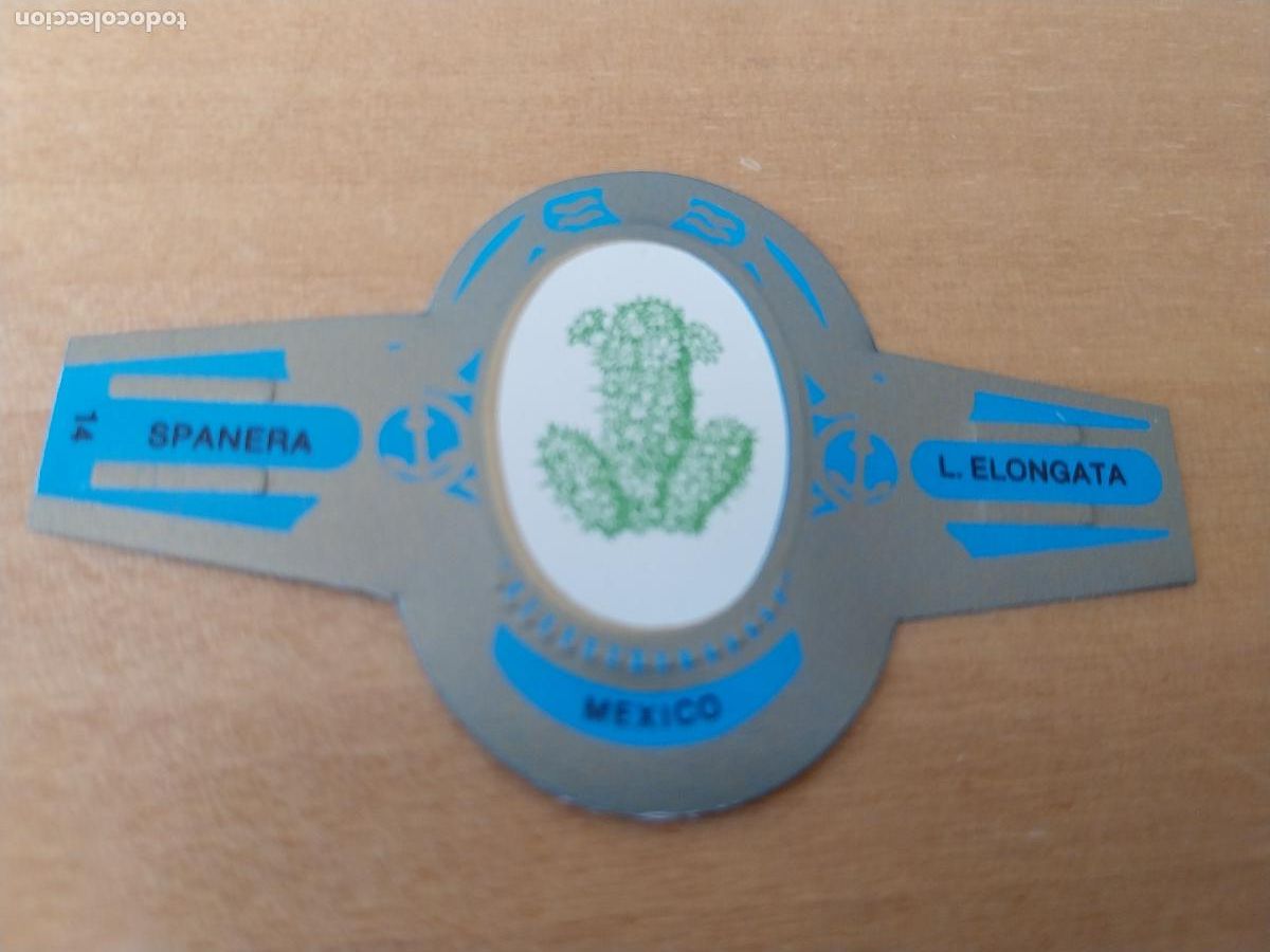 Collection cigar bands: L ELONGATA SPANERA PROMO TABACO VITOLA ORIGINAL VINTAGE 6CM LARGO