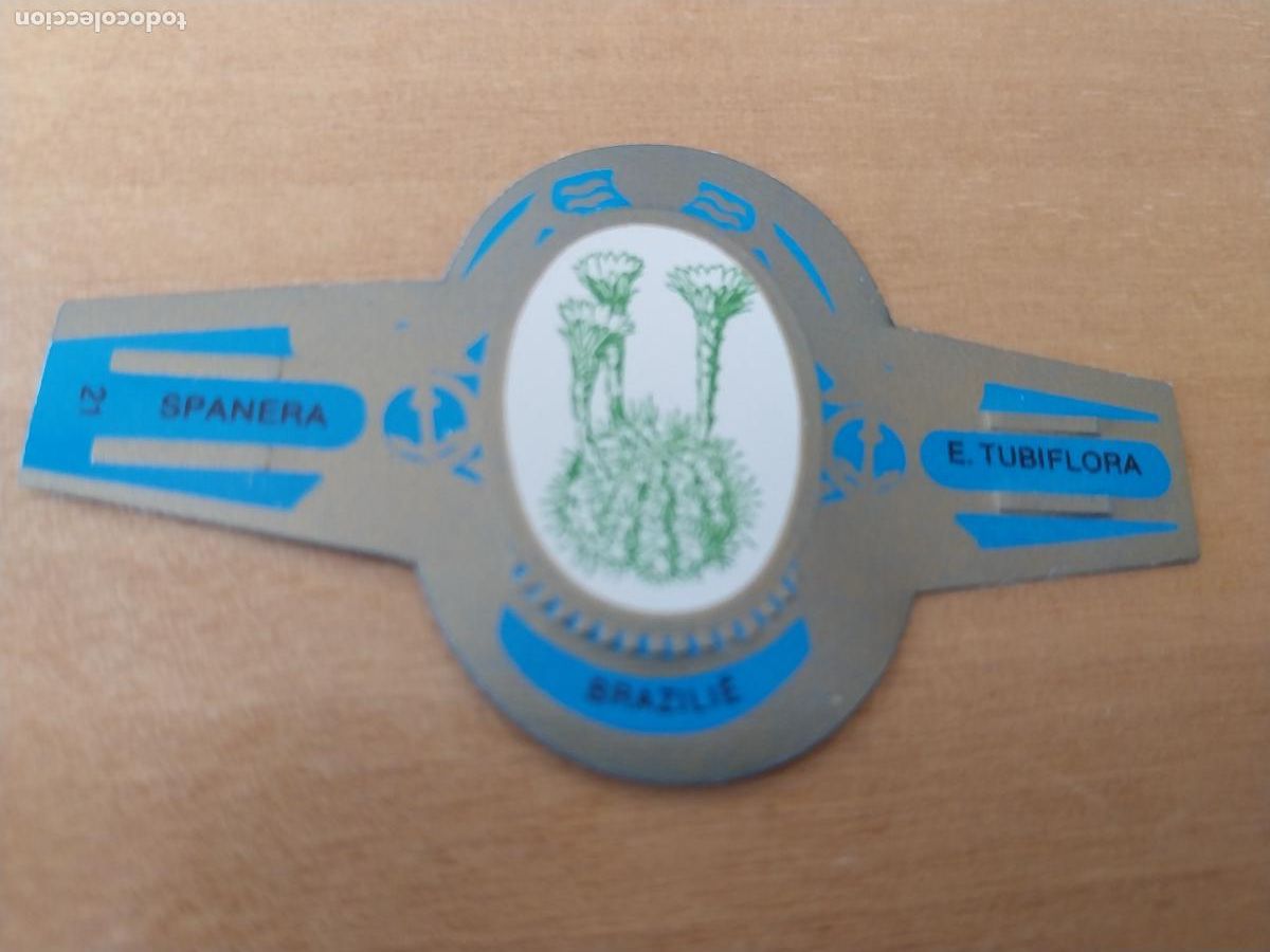 Collection cigar bands: E TUBIFLORA SPANERA PROMO TABACO VITOLA ORIGINAL VINTAGE 6CM LARGO