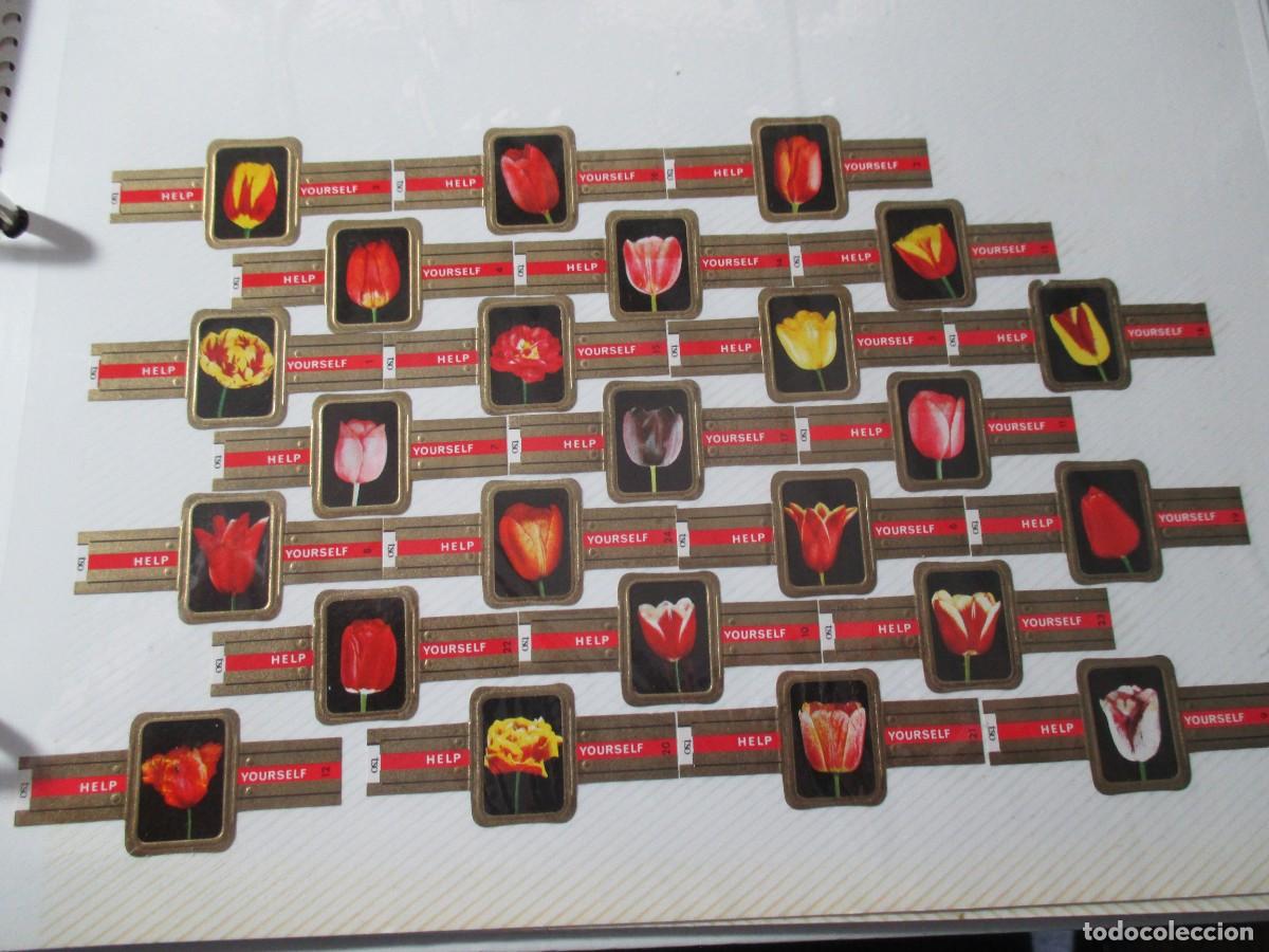 Vitolas de colecci&oacute;n: VITOLAS -HELP YOURSELF - Foto 1