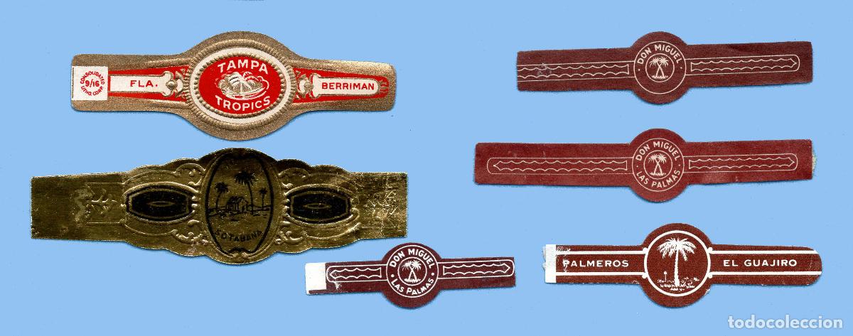 Bagues de cigare de collection: 6 VITOLAS ANTIGUAS - DISTINTAS MARCAS - TEM&Aacute;TICA &Aacute;RBOLES - PALMERAS