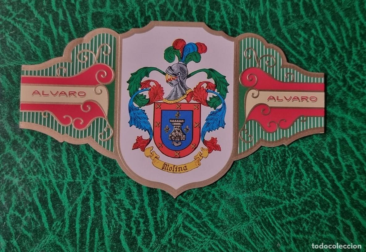 Vitolas de colecci&oacute;n: VITOLA ALVARO , SERIE III - HERALDICA -ESCUDO DEL APELLIDO MOLINA