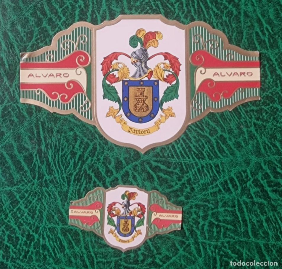 Bagues de cigare de collection: 2 VITOLAS ALVARO , SERIE HERALDICA -ESCUDO DEL APELLIDO ZAMORA