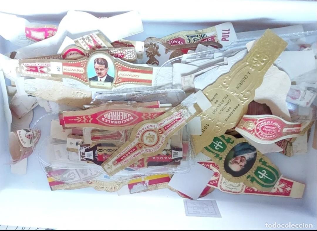Vitolas de colecci&oacute;n: Lote vitolas varias. - Foto 1