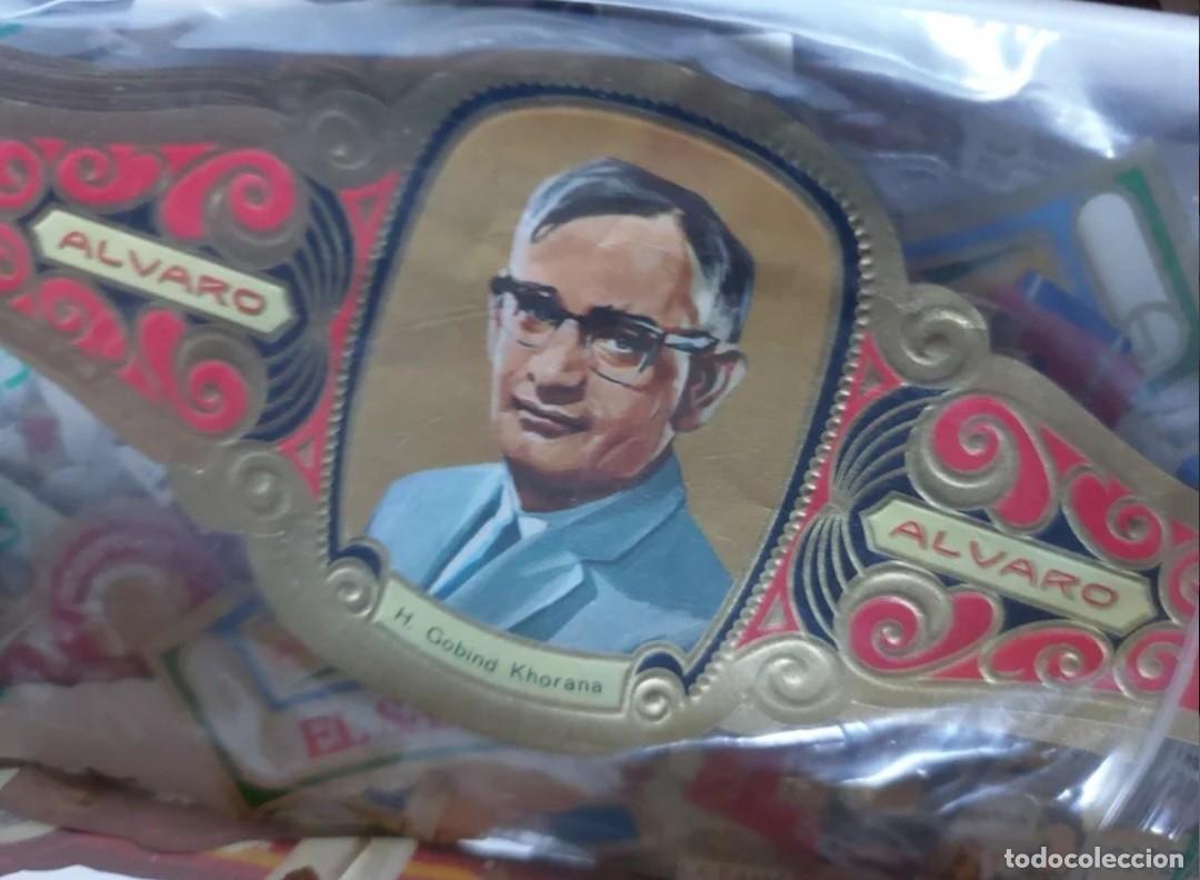 Vitolas de colecci&oacute;n: Lote vitolas varias. - Foto 6