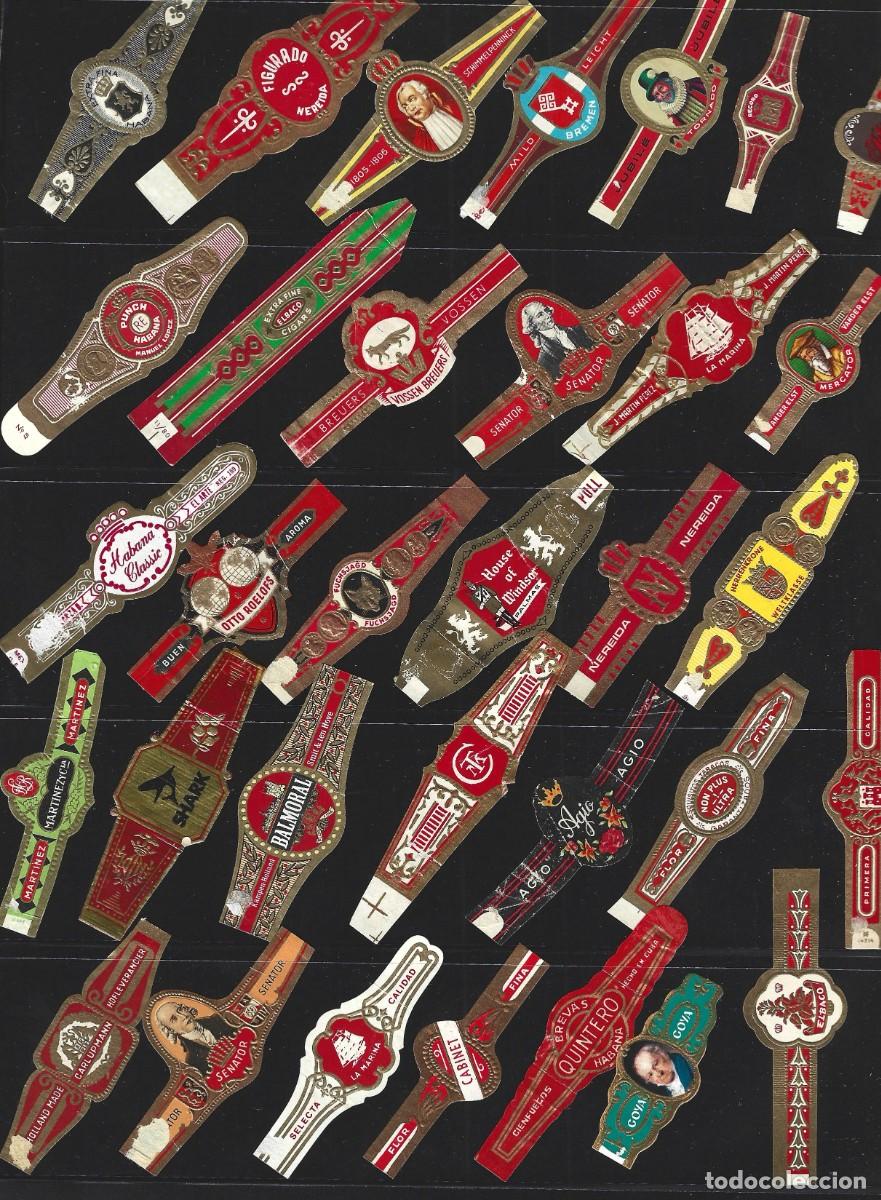 Vitolas de colecci&oacute;n: vitolas variadas de distintos paises - Foto 4