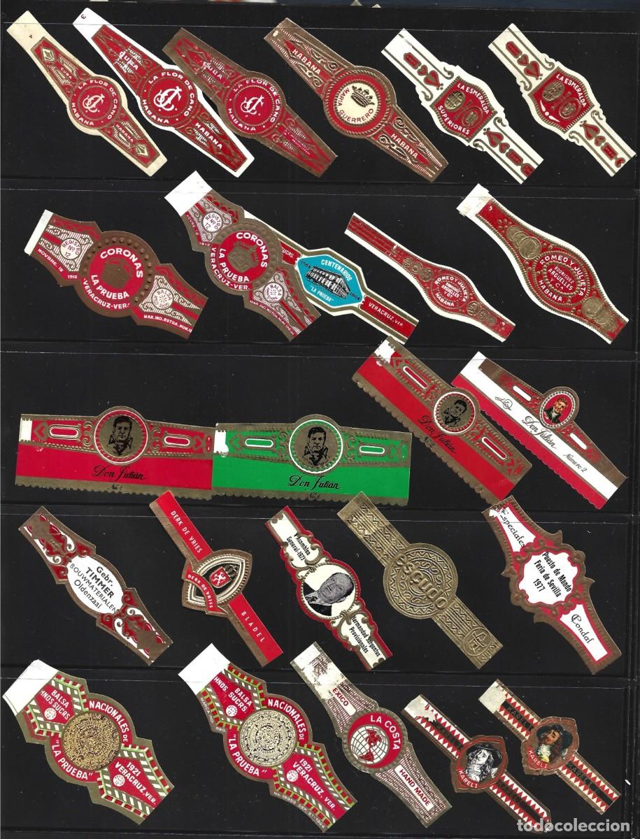 Vitolas de colecci&oacute;n: vitolas variadas de distintos paises - Foto 5