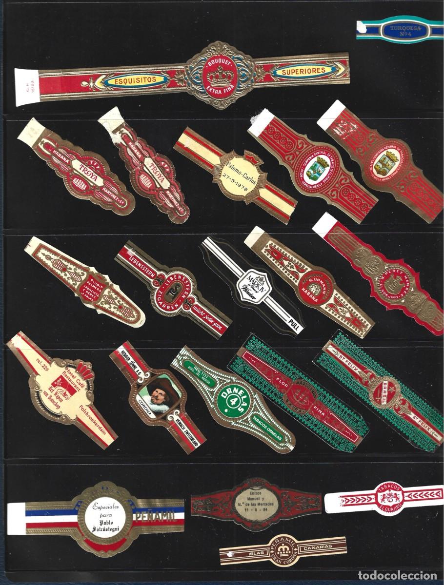 Vitolas de colecci&oacute;n: vitolas variadas de distintos paises - Foto 6