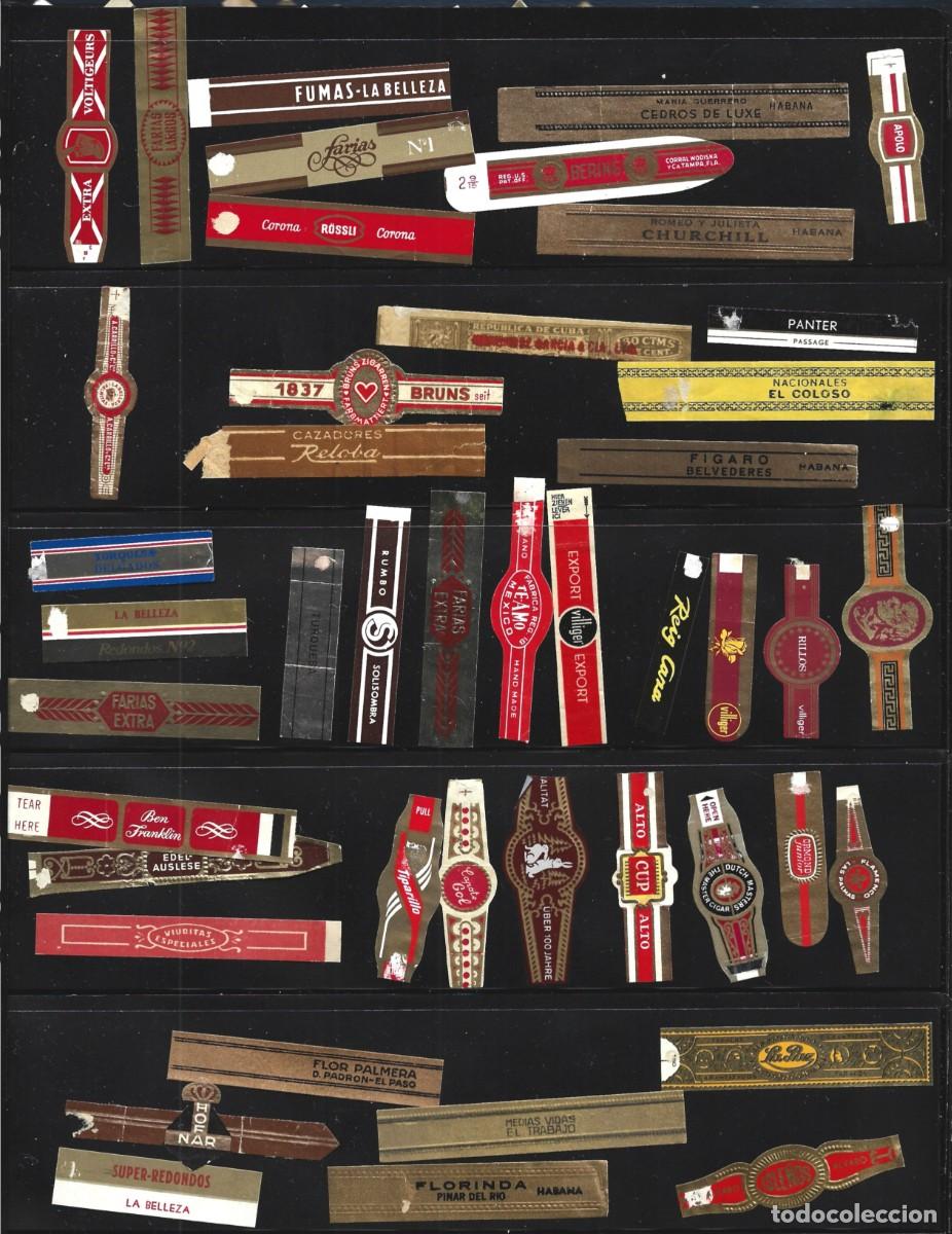 Vitolas de colecci&oacute;n: vitolas variadas de distintos paises - Foto 9