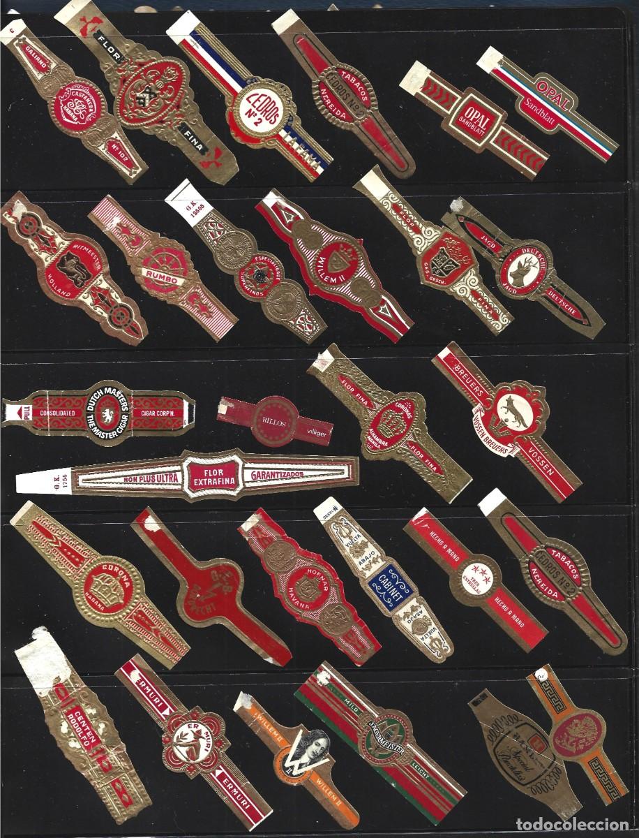 Vitolas de colecci&oacute;n: vitolas variadas de distintos paises - Foto 11