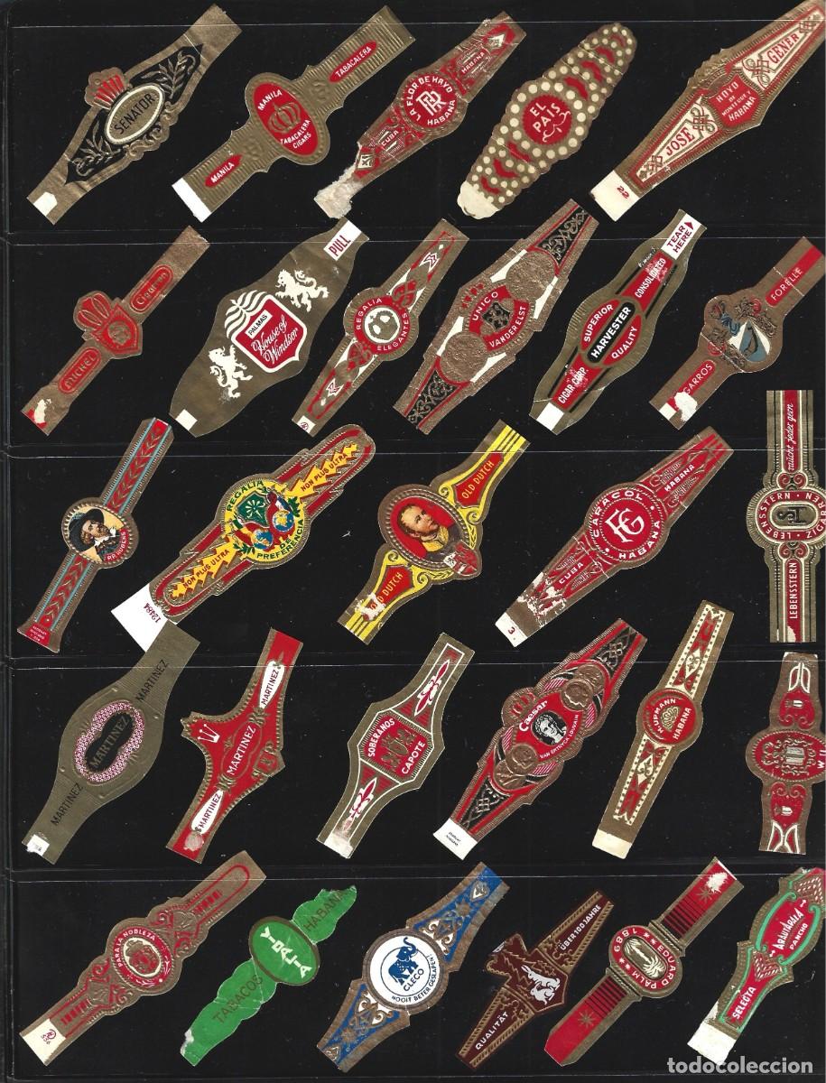 Vitolas de colecci&oacute;n: vitolas variadas de distintos paises - Foto 12