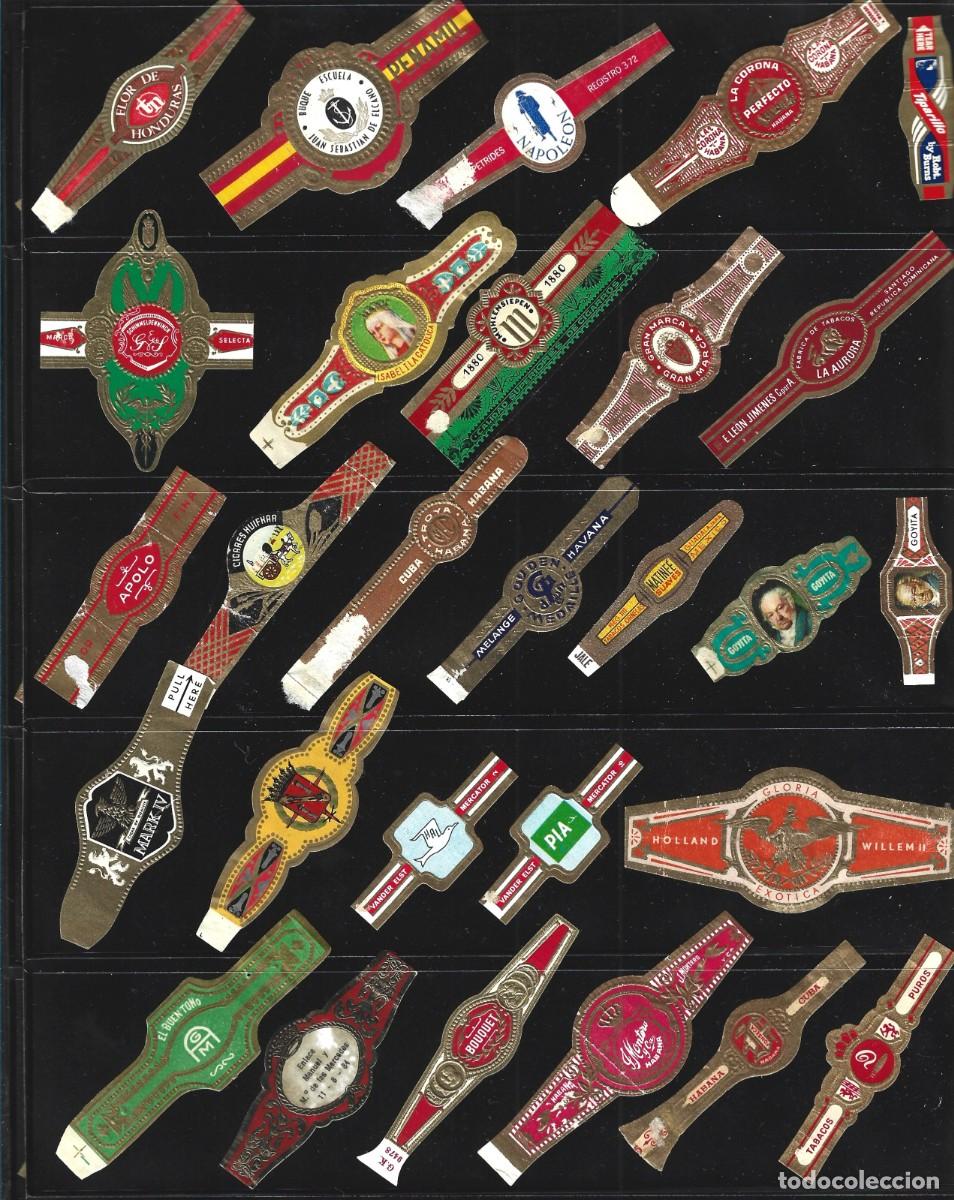 Vitolas de colecci&oacute;n: vitolas variadas de distintos paises - Foto 16