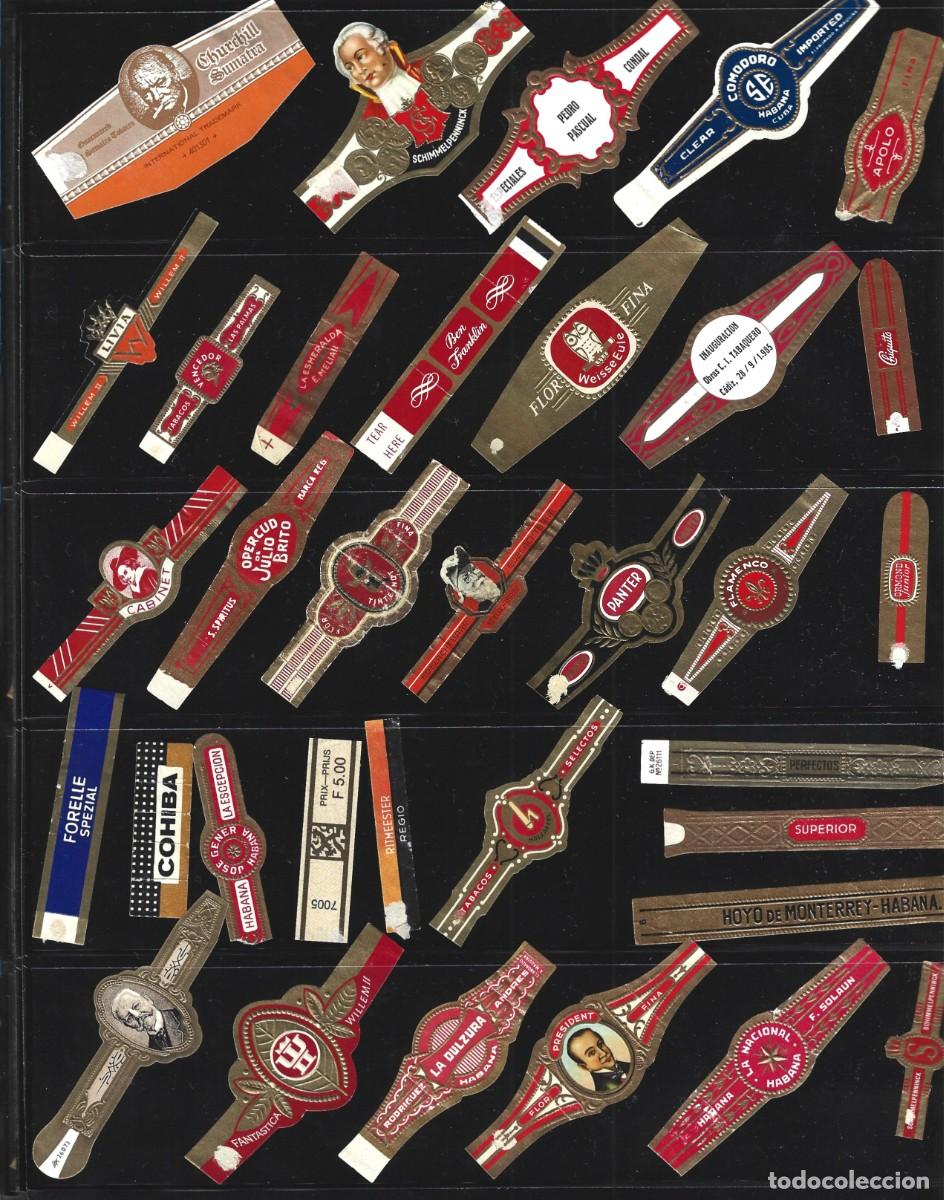 Vitolas de colecci&oacute;n: vitolas variadas de distintos paises - Foto 20