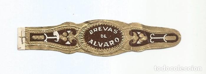 Vitolas de colecci&oacute;n: VITOLA - BREVAS DE ALVARO - Foto 1