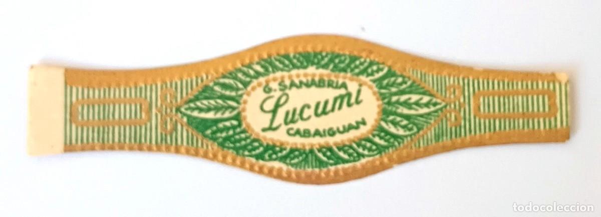 Vitolas de colecci&oacute;n: Chinchal, Cigar Band, Antigua Vitola de Coleccion, LUCUMI (3), A242