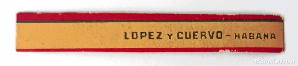 Vitolas de colecci&oacute;n: Chinchal, Cigar Band, Antigua Vitola de Coleccion, LOPOEZ Y CUERVO, B482